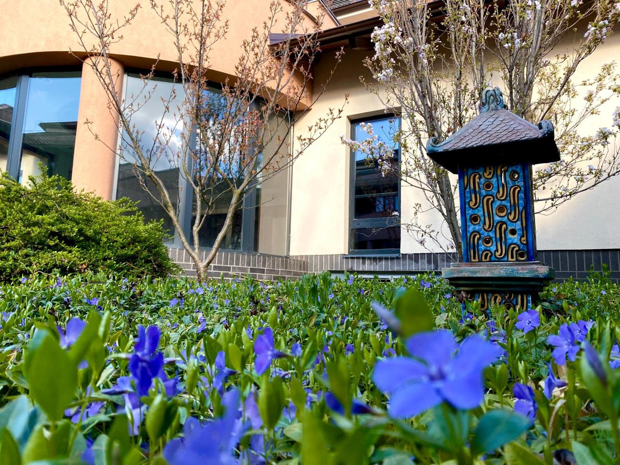 Caramell Premium Resort Superior Bük Exterior foto